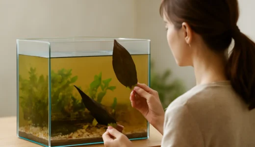 マジックリーフの代用はどう選ぶ？候補比較と安全な使い方ガイド
